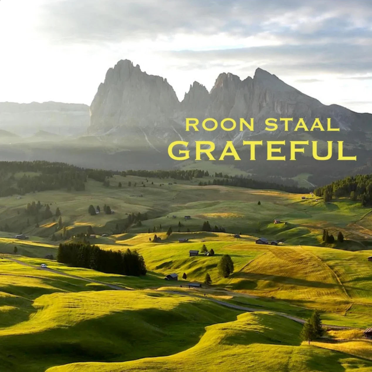 Roon Staal Music