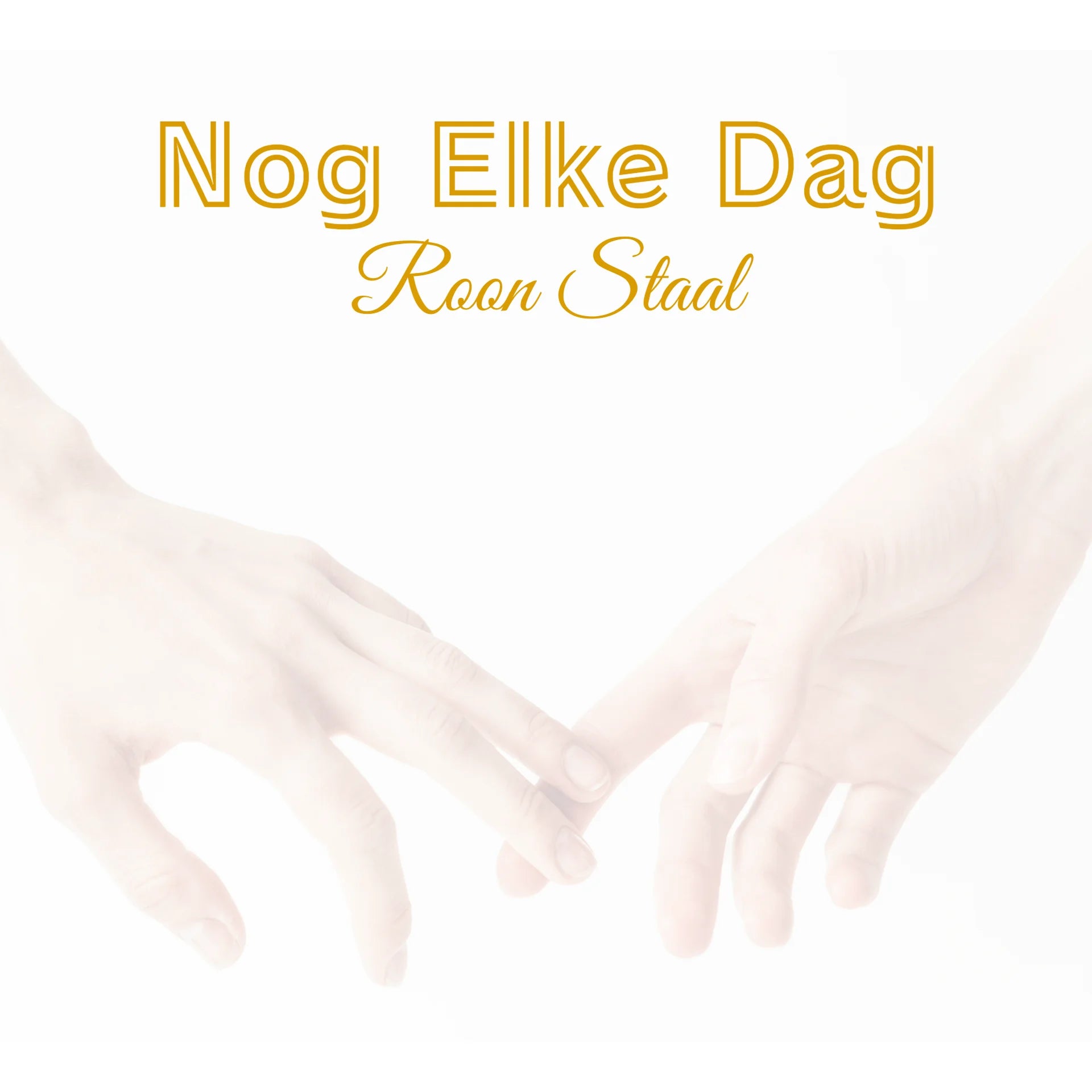 Roon Staal Music